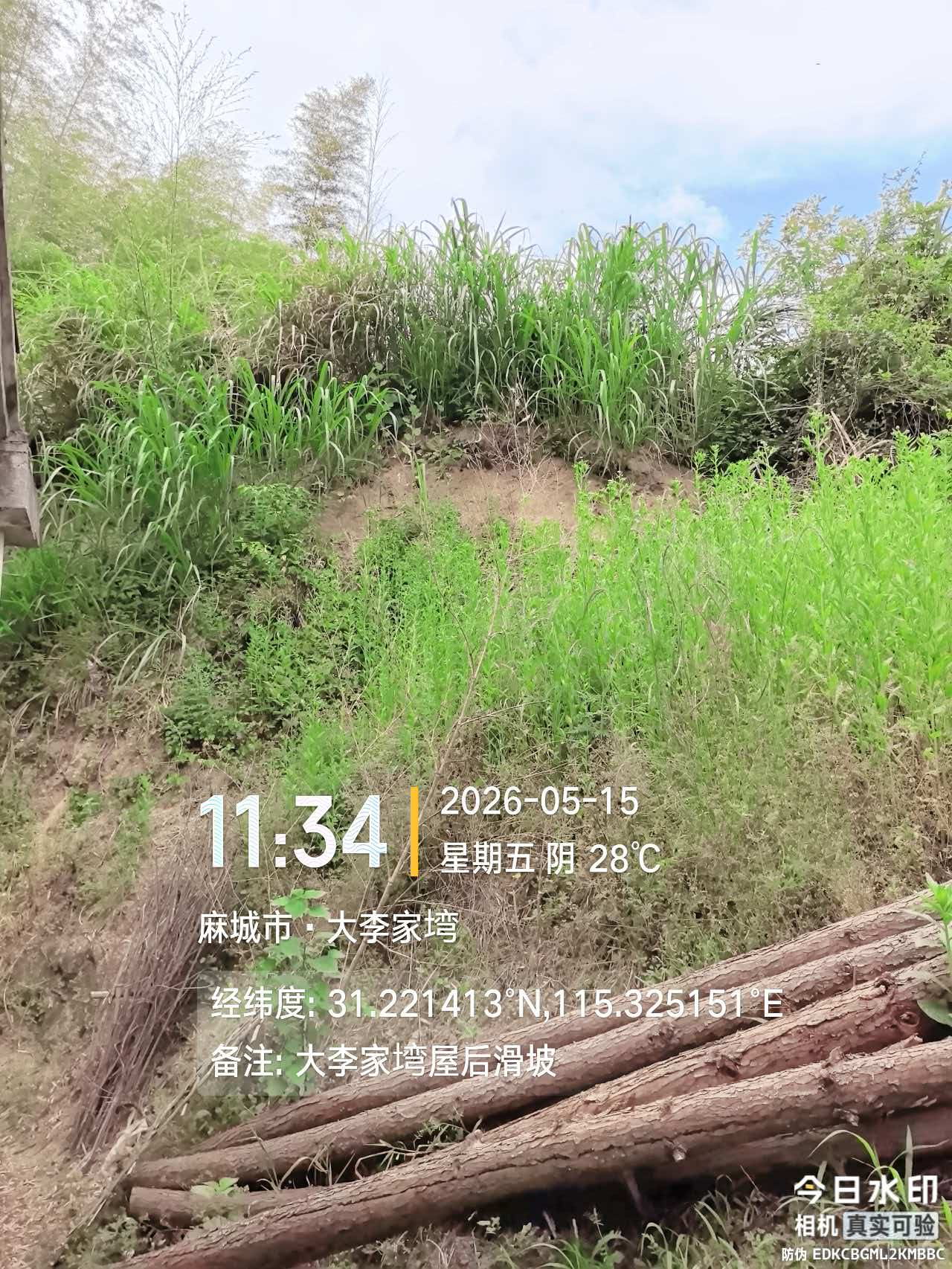 麻城市·大李家塆2.png